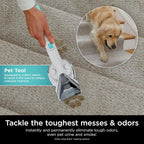 Shark StainStriker Bundle 32oz OXY Multiplier + 16oz Deep Clean Pro Carpet Clean by Shark