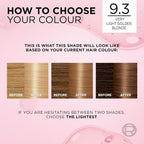 L'Oreal Excellence Creme Hair Dye 9.3 Natural Light Gold Blonde 100% Grey Cover by L'Oreal Paris