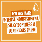 L'Oreal Elvive Extraordinary Oil Shampoo Conditioner & Hair Oil Set Dry Hair by L'Oreal Paris