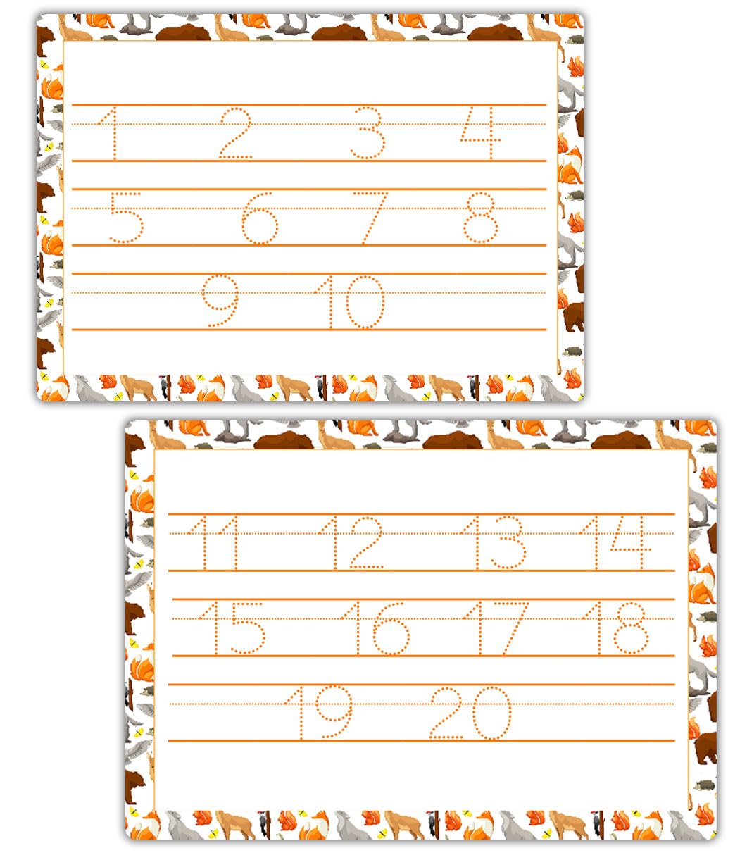Number Tracing Worksheets for Toddlers 1 to 20 Reusable Mat by ZStore