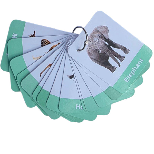 Animals Flashcards Toddlers – Durable Real Animal Cards for Early Learning