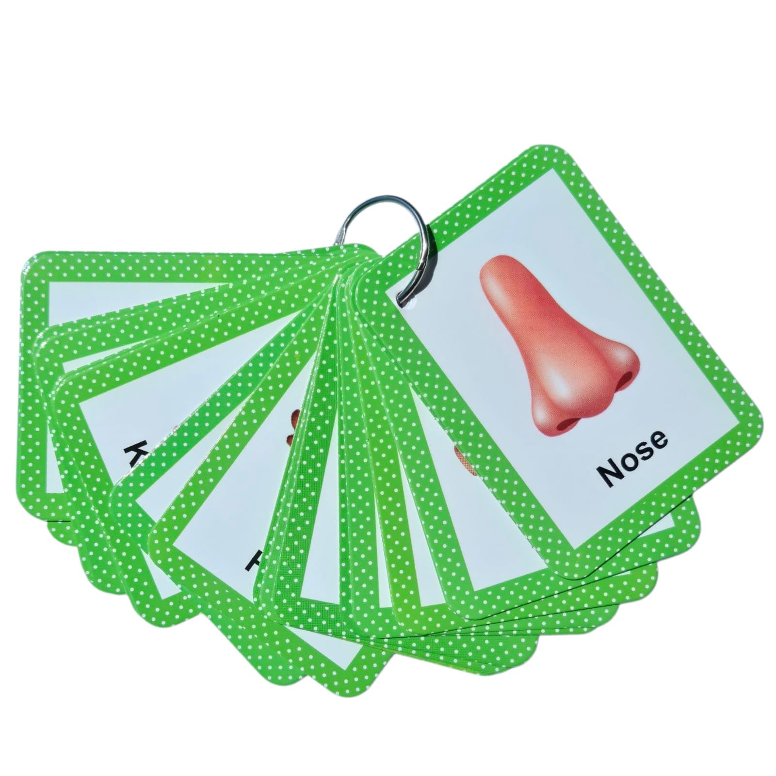 Zstore Body Parts Flashcards For Toddlers - Image Cards by Zstore