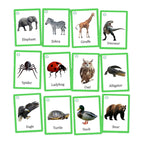 a collection of animal cards, each featuring a different animal species such as an elephant, zebra, giraffe, dinosaur, spider, ladybug, owl, alligator, eagle, turtle, duck, and bear.